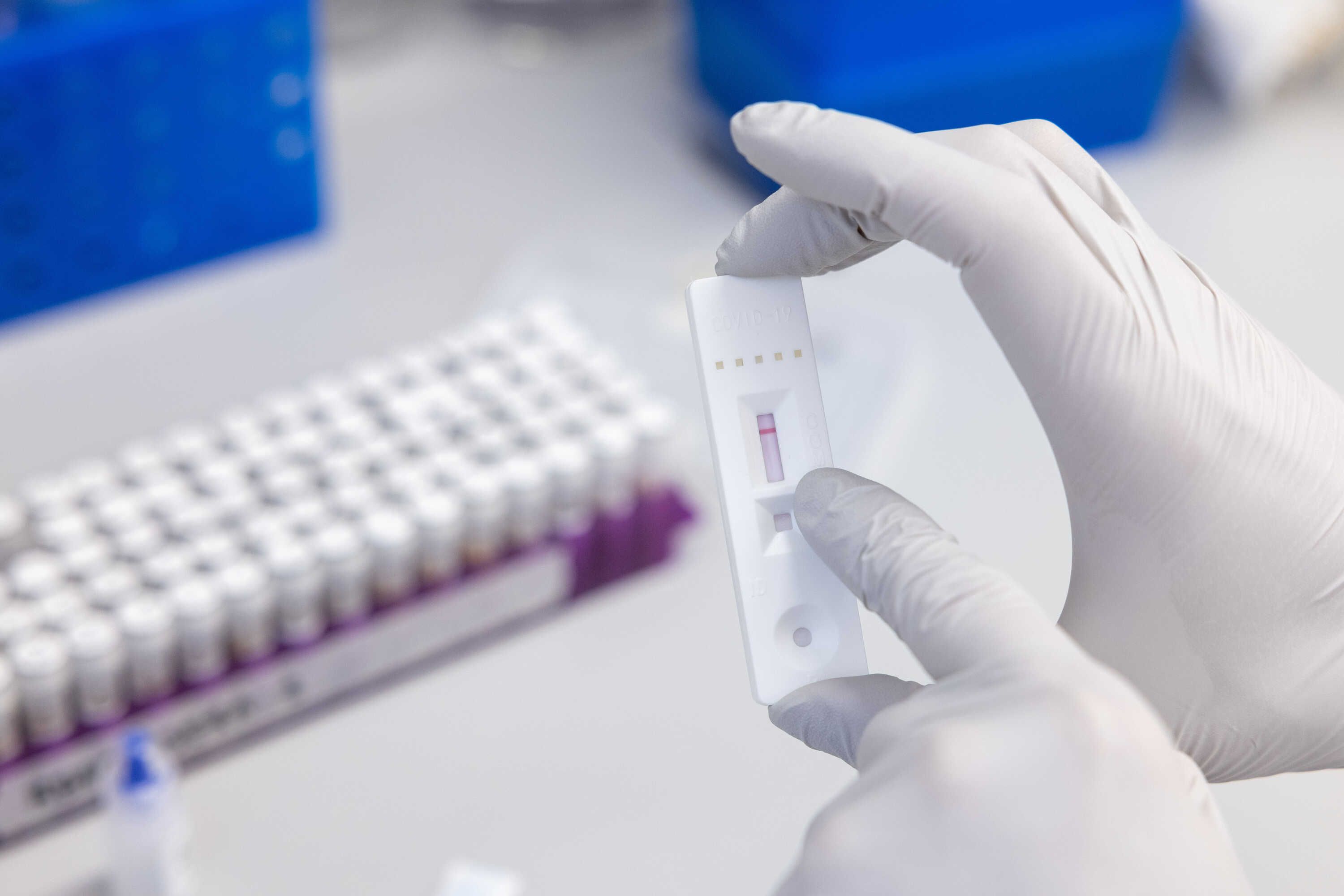 A researcher with gloved hands holds a lateral flow test for COVID-19 which is negative