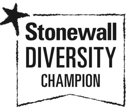 Stonewall diversity champion logo