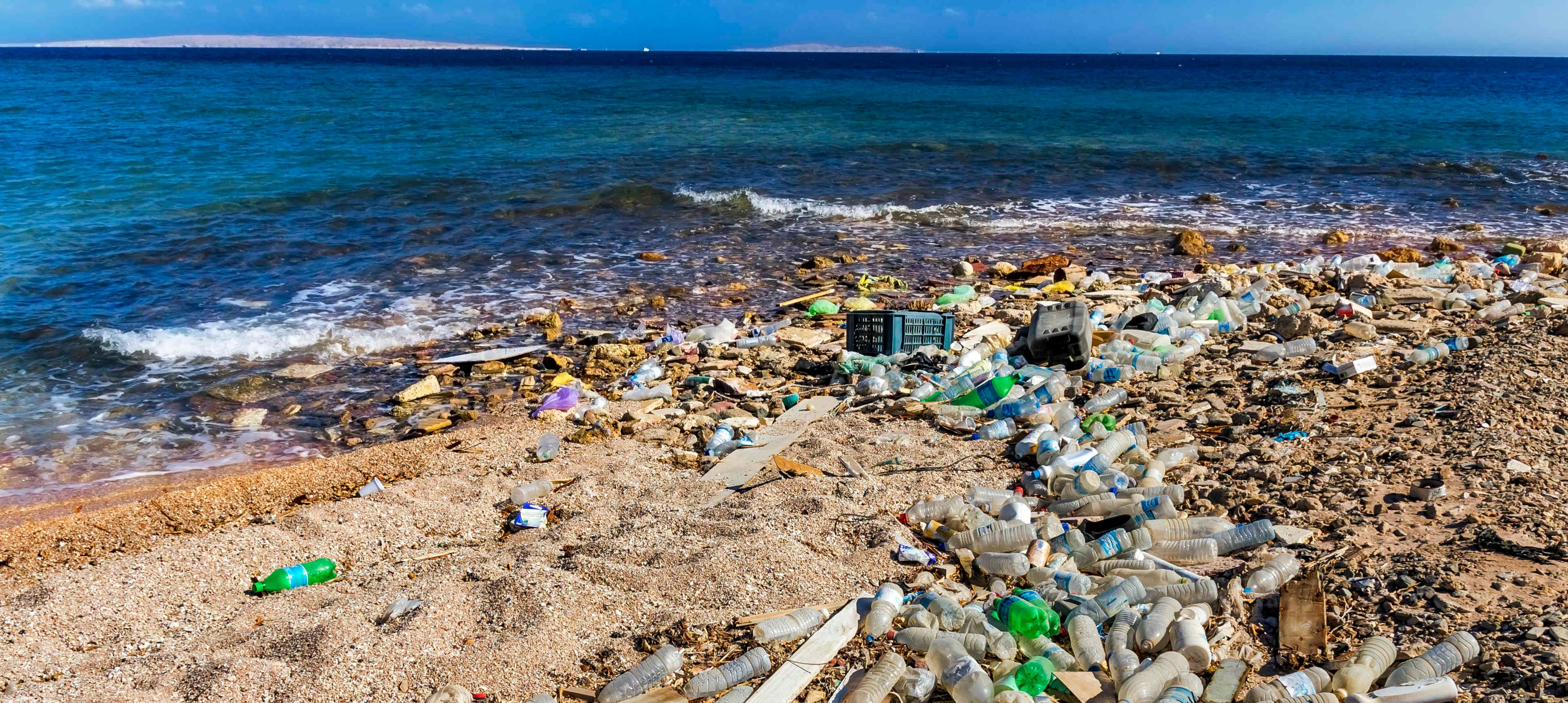 Beach strewn with plastic debris