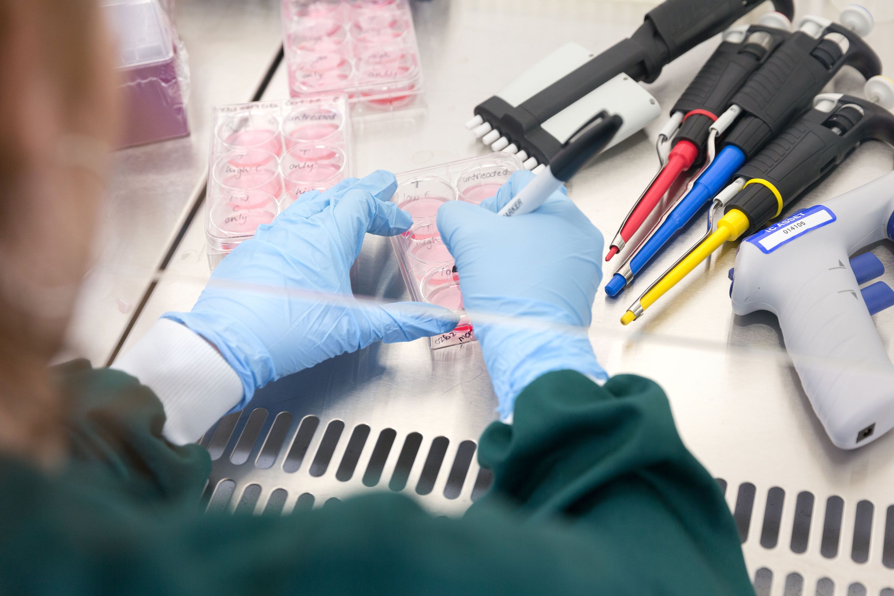 Tissue culture suite, student culturing breast cancer cells.