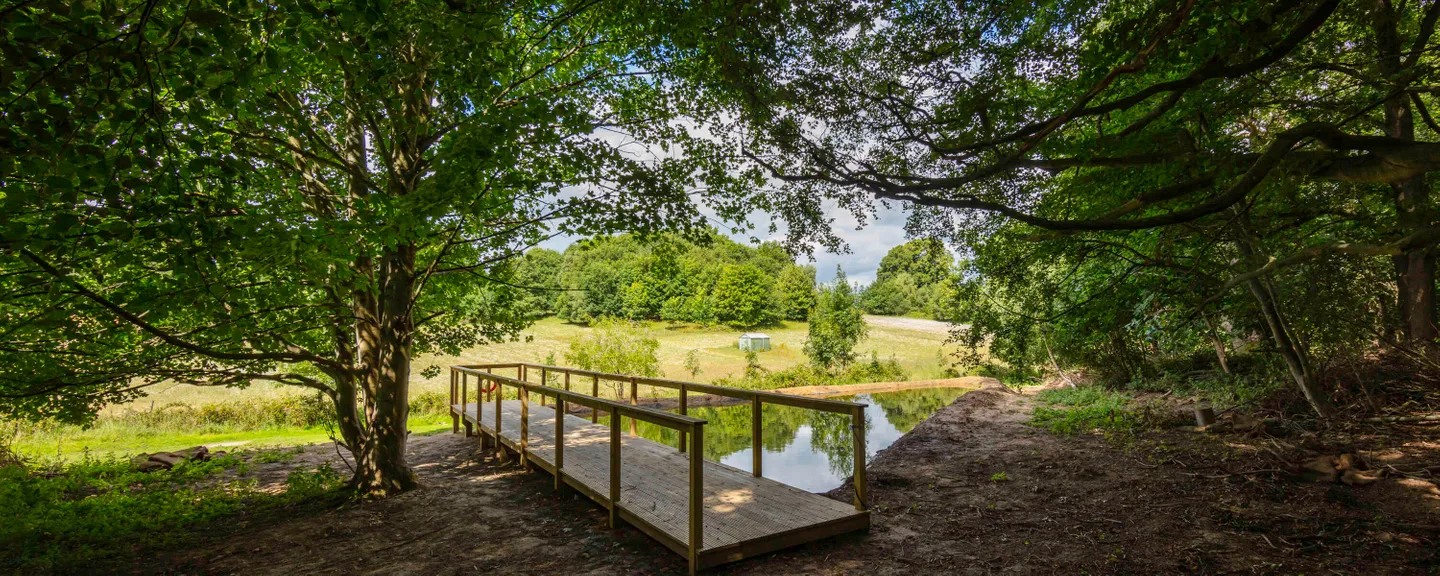 Greenery at Silwood Park campus