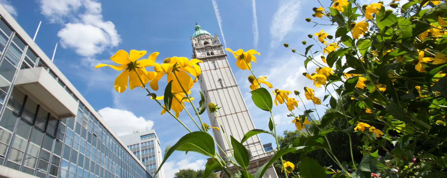 Queens tower during summer