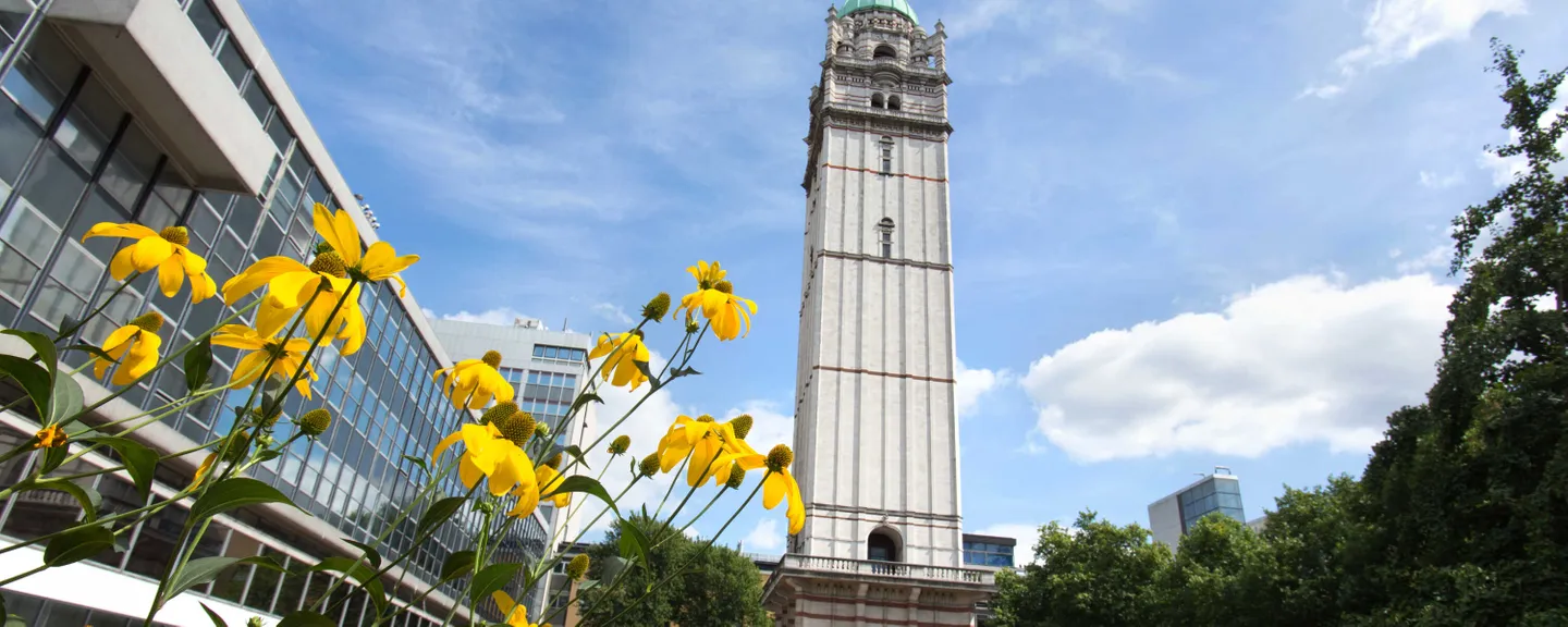 The Queen's Tower on a sunny spring day, with yellow flowers visible in the foreground