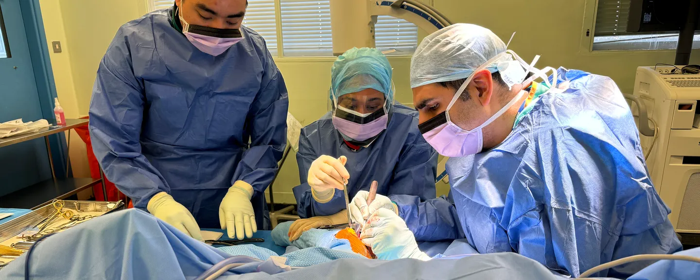 Three surgeons operating on a shoulder