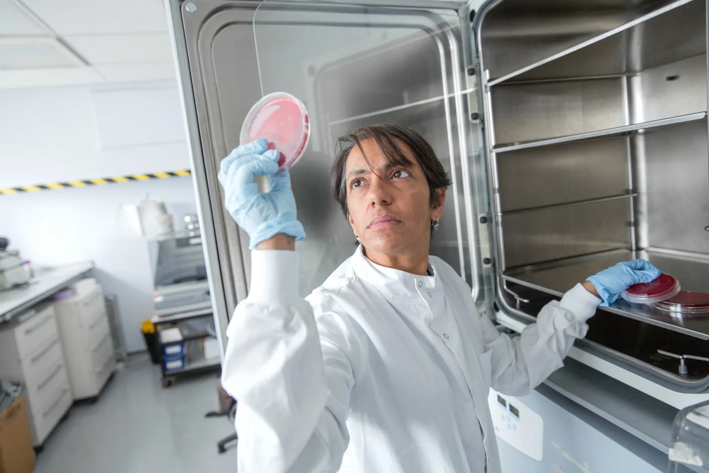 MSc Epidemiology student in the lab looking at the petri dish, wearing white lab coat