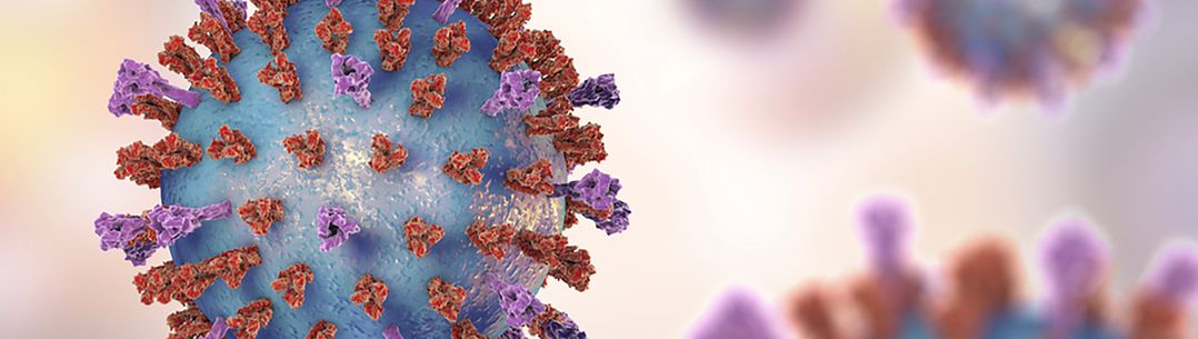 Respiratory syncytial virus (RSV), 3D illustration which shows two types of viral surface spikes