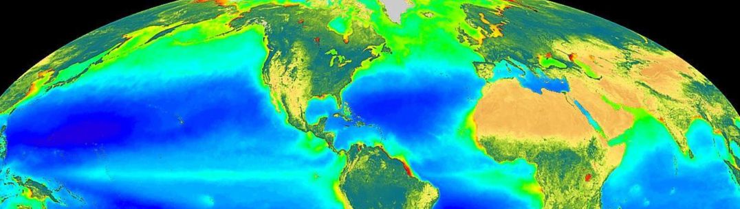 An image of the global biosphere