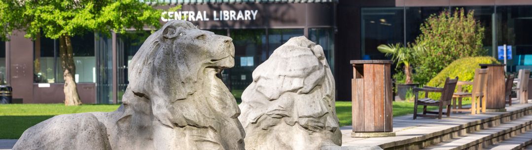 Lions Central library