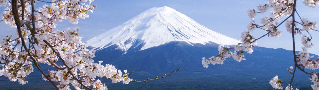 Mount Fuji