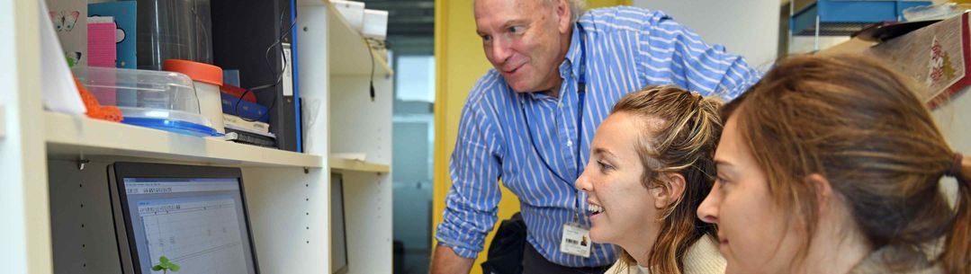 Researcher looks at computer