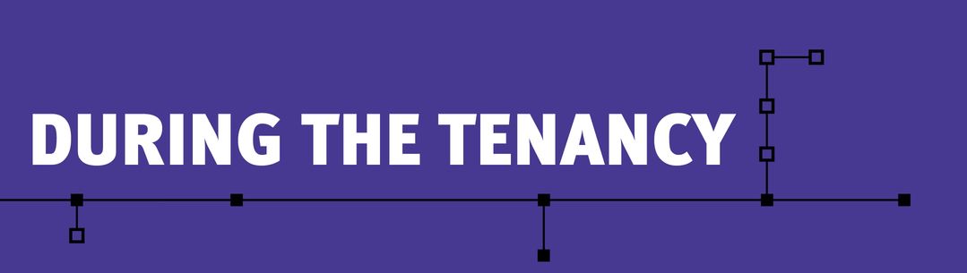 During the tenancy