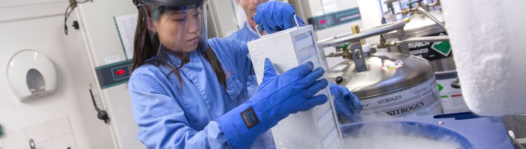 A researcher wearing PPE removes a cassette of samples from a vat of liquid nitrogen