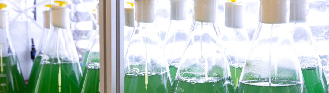 Green Bottles in a Laboratory
