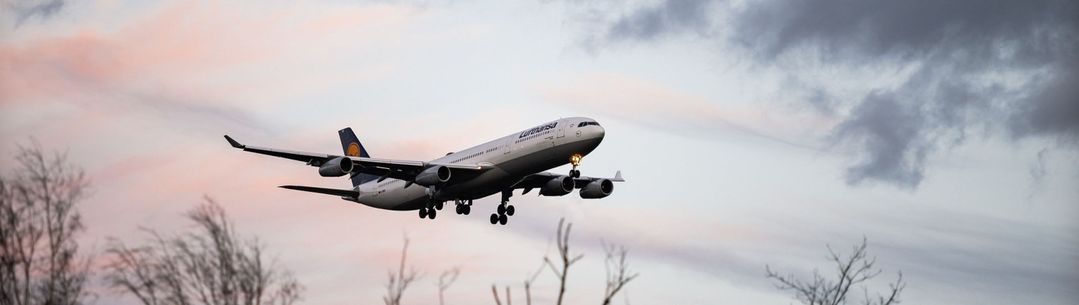 A plane coming in to land, with wintry tree branches silhouetted in the foreground, and a cold cloudy sky in the background