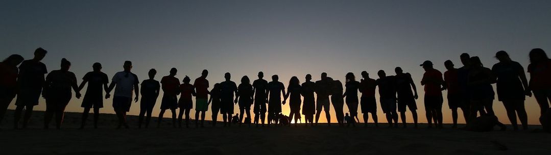 A Line of people holding hands against a sunset on a beach