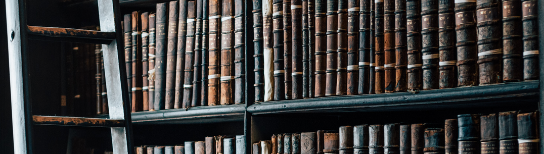 library with ladder and books