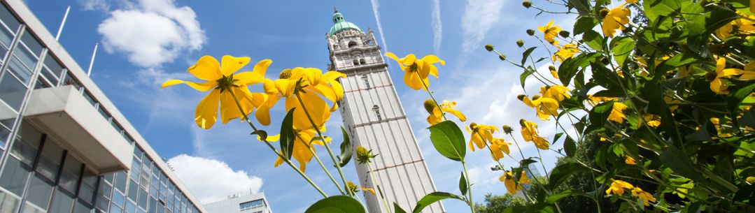 Queens Tower with yellow flowers