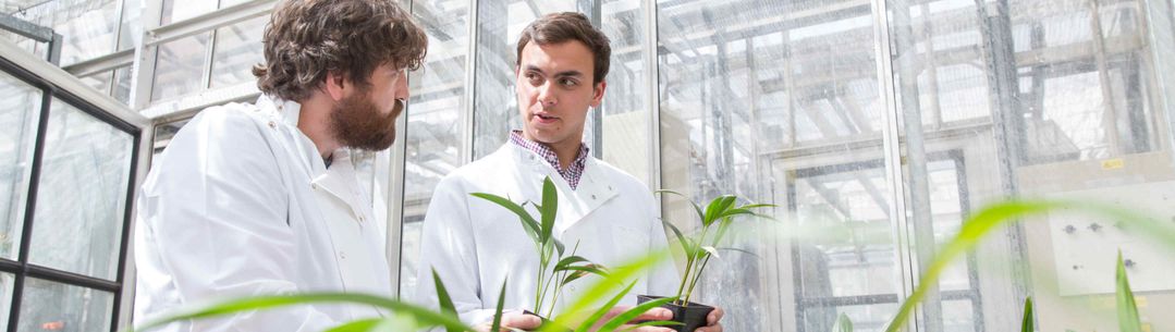 two researchers with plants in lab
