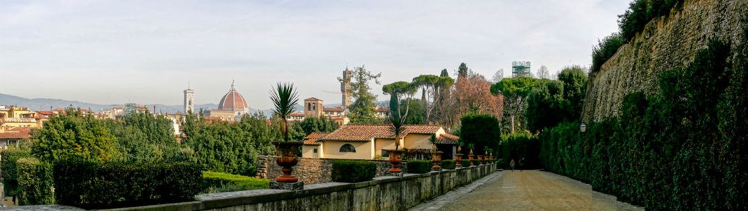 Photograph of an Italian garden