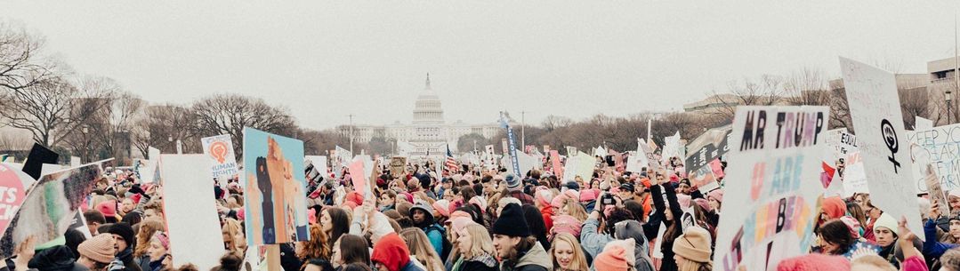 Large protest with white house in distance