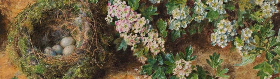 Painting by William Henry Hunt of flowers
