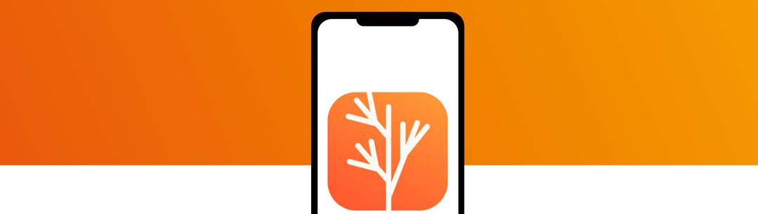 Graphic of phone screen with Dill logo