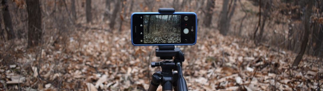 smartphone on tripod in forest