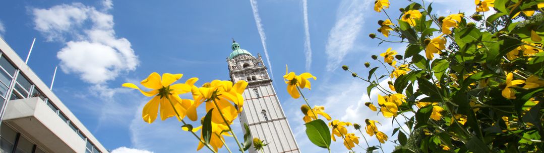 Queen's Tower at Imperial's South Kensington Campus with yellow flower in the foreground