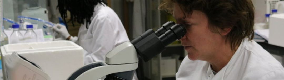 A researcher using a microscope in the lab