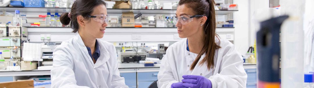 Two researchers working in a lab