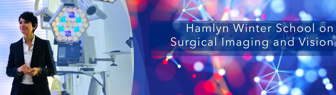 Hamlyn Winter School on Surgical Imaging and Vision 