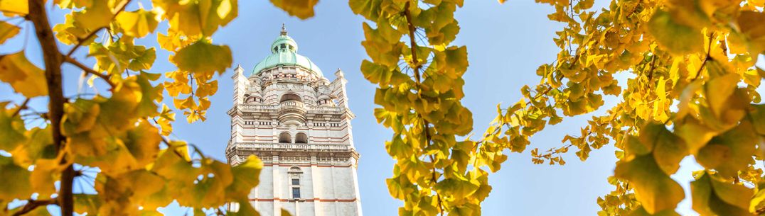 Queen's Tower pictured among yellow autumn leaves