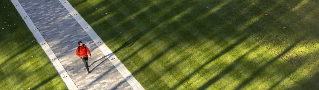 Aerial shot of the queen's lawn at Dangoor Plaza