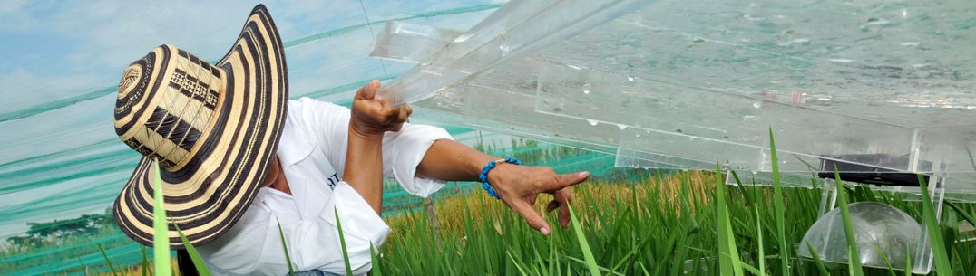 A person captures and measures rice emissions, pointing with finger