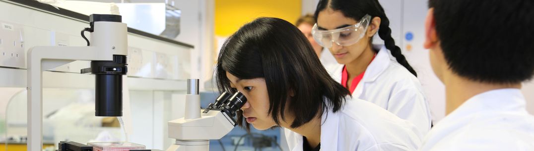 Revolutions in Biomedicine Summer School students in lab