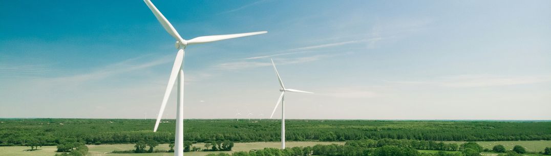 wind turbine in a green field