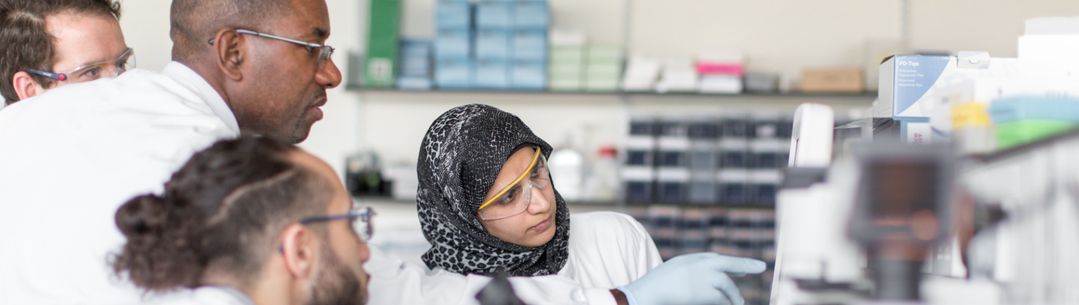 Researchers working in lab