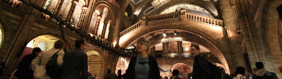National History Museum 