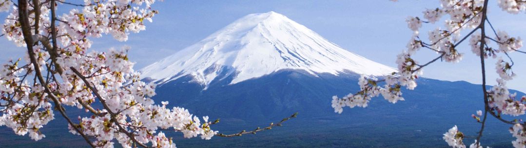 Mount Fuji