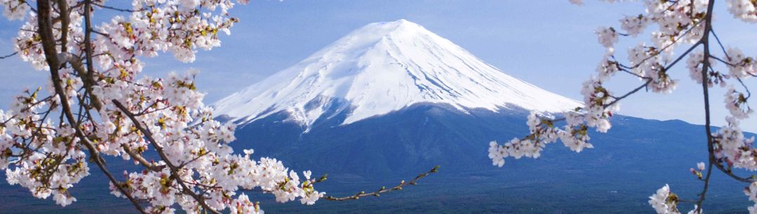 Mount Fuji