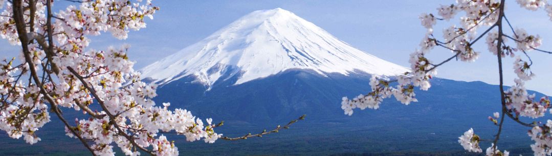 Mount Fuji