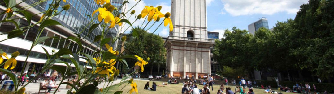 Queens Lawn