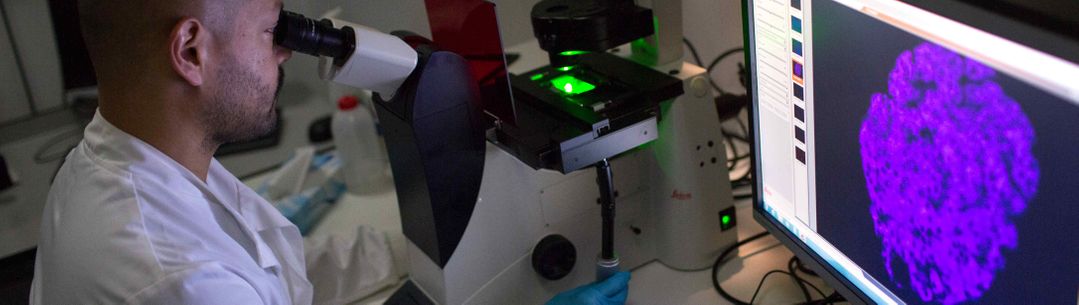 Wellcome funded scientist at microscope