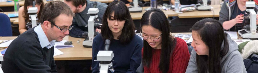 Students working together on an assignment