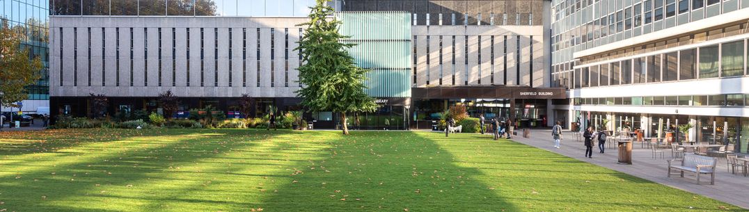 Queen's lawn view of the library in sunshine.