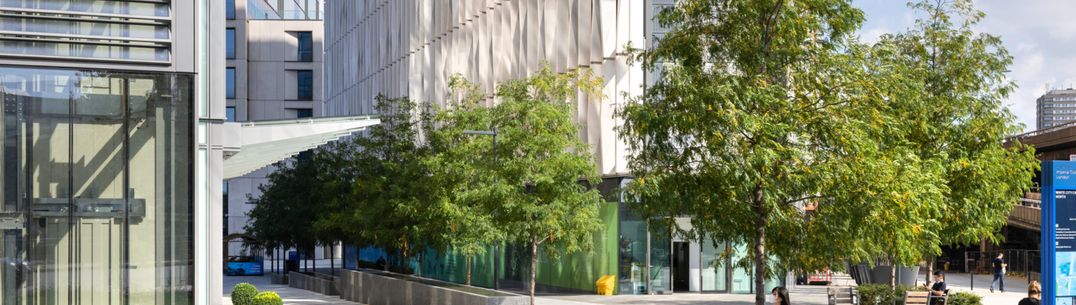 This is a photo of the north site entrance of the White City Campus