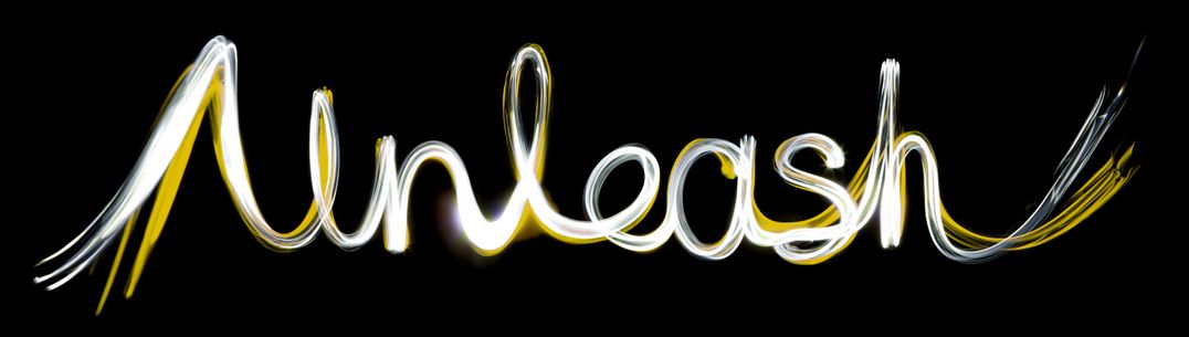 STEM Potential new branding web banner unleash