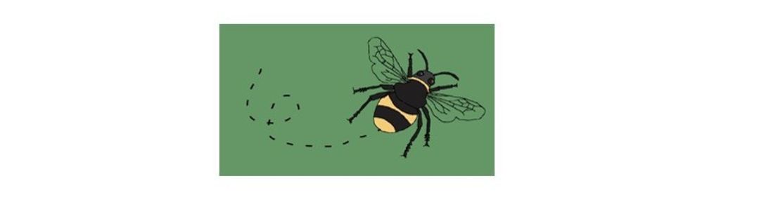 Buggy App