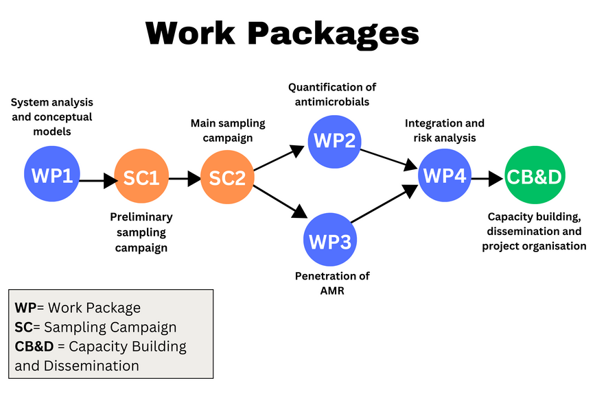 A flowchart outlining AMRWATCH's Work Package Progression. The text reads: WP1 System analysis and conceptual models. SC1 Preliminary sampling campaign. SC2 Main sampling campaign. WP2 Quantification of antimicrobials. WP3 Penetration of AMR. WP4 Integration and risk analysis. CB&D Capacity building, dissemination and project organisation