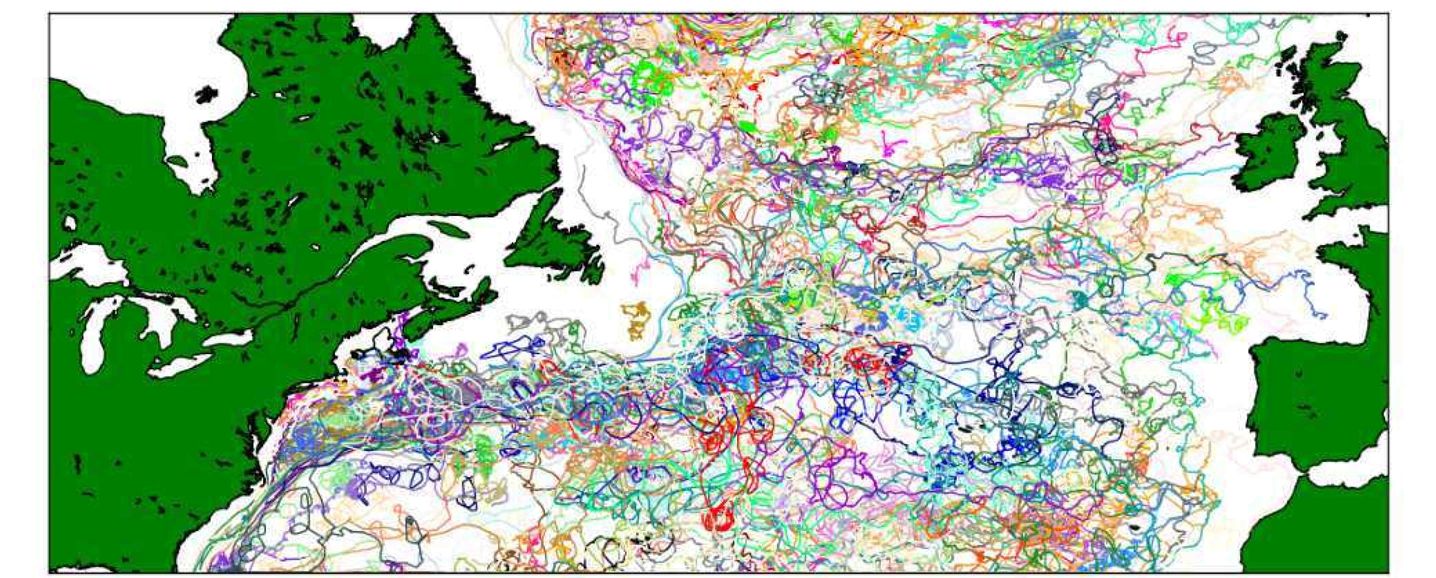 Trajectories in the North Atlantic